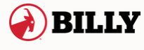 shopbillyfootwear.com